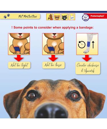 Protectaplast Self-Adhesive Blue Bandage for Pets | Latex-Free & Glue-Free 6cm x 2m | Ideal for Dogs Cats & Horses - Wound & Joint Dressing - Buy Online on GoSupps.com