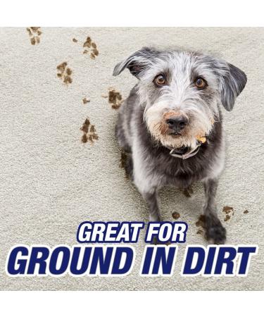 Resolve Pet Carpet Cleaner Shampoo 96oz 2X Concentrate - Safe for Bissell, Hoover & Rug Doctor - Buy Online on GoSupps.com