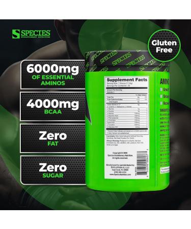 Species Nutrition Amino Evolved EAA & BCAA Powder - Fermented Amino Acids for Muscle Recovery & Endurance | Strawberry Watermelon - 30 Servings - Pre & Post Workout Supplement - Buy Online on GoSupps.com