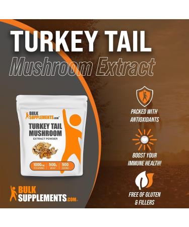 Turkey Tail Mushroom Extract Powder 500g - Coriolus Versicolor Extract - BulkSupplements.com - Buy Online on GoSupps.com