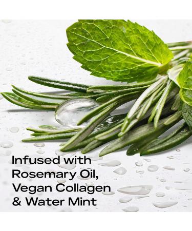 SheaMoisture Strengthening Scalp & Hair Oil - Rosemary & Vegan Collagen 2 oz | Promote Length Retention & Invigorate Scalp with ScalpBoost Technology - International Shipping Available - Buy Online on GoSupps.com