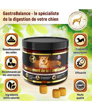 GastroBalance Constipation Relief for Dogs - 60 Laxative Dog Stool Softeners - Bacon Flavor (French) - Buy Online on GoSupps.com
