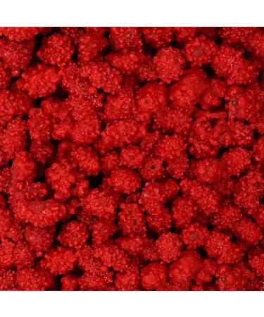 FirstChoiceCandy French Burnt Peanuts 2 lb - Classic Red Old Fashioned Candy - Buy Online on GoSupps.com