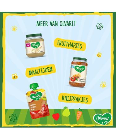 Nutricia Nederland BV Olvarit Pear Apple Yoghurt fruit snack for babies from 8+ months 6x200 grams of baby food in a fruit jar - Buy Online on GoSupps.com