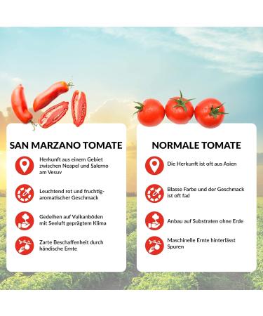Delicret Pizza Kit Naples Grande | Authentic 10x1kg Caputo Pizzamehl 2x1kg Semola 100g Yeast & 12x400g San Marzano Tomatoes for Perfect Pizza - Buy Online on GoSupps.com