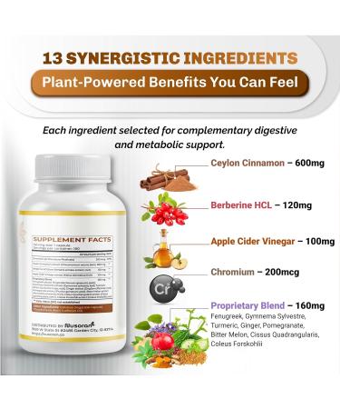 Ultra Ceylon Cinnamon - 13-in-1 with Berberine Apple Cider Vinegar Turmeric Bitter Melon - Max Absorption - 180 Capsules - Non-GMO Gluten-Free Lab Tested - Buy Online on GoSupps.com