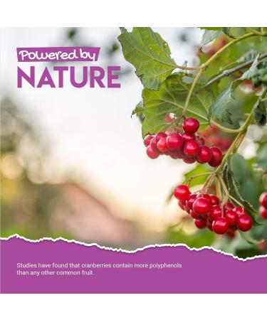 Cranberry Gummies 1000mg - Organic Cranberry Extract Supplement - 60 Vegan Gummies - Kosher Halal - Buy Online on GoSupps.com