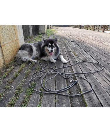 YUCFOREN Check Cord/Tie Out Long Rope Leash for Dog Training 15FT Obedience Recall Training Agility Lead for Large Medium Small Dogs Great for Training Camping Playing Backyard 15FT Black Blue - Buy Online on GoSupps.com