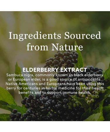 New Nordic Elderberry Vegan Gummies - 60 Count with Elderberry Extract for Immune Support - Buy Online on GoSupps.com