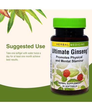 Herbs Etc. Ultimate Ginseng Softgels - Support Continuous Physical Activity - Aids Brain Health - Supports Daily Stamina for Physical & Intellectual Activity - Gluten-Free - 30 Softgels (30 Servings) - Buy Online on GoSupps.com