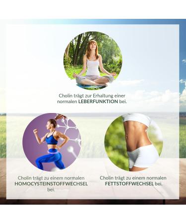 200 Vegan Choline Capsules for 6 Months Supports Fat Metabolism & Liver Function No Additives - Buy Online on GoSupps.com
