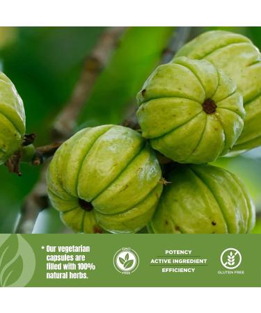 Herbsforever Garcinia Cambogia Extract Supplement | Supports Healthy Lifestyle & Weight Management | Natural Herbal Formula | 90 Vegetarian Capsules for Adults - Buy Online on GoSupps.com