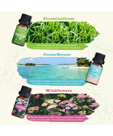 Salking Nature Essential Oil Set | Aromatherapy Fragrance Oils Gift Set | 6x10ml Pure Oils for Diffusers & Humidifiers - Pine Sea Breeze Rain Grass Wildflowers Mountain Air - Buy Online on GoSupps.com