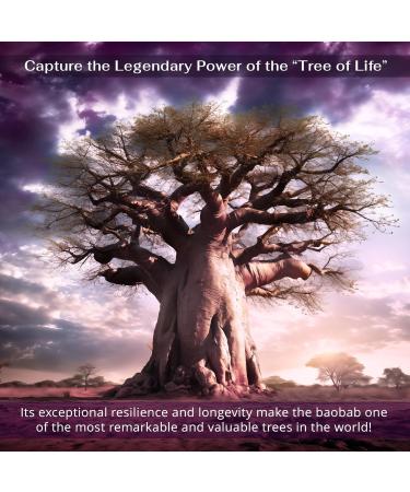 Buy Pure Cosmetic Grade Hydrolyzed Baobab Protein - Vegan Water Soluble Hair & Skincare Solution - 350ml Baobab Extract from African Seeds - Buy Online on GoSupps.com