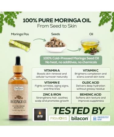 Panda BVBA Moringa Oil AntiAging Highest Quality 100 Natural & Cold Pressed Hydration & Shine for Face Skin and Hair 100 ml - Buy Online on GoSupps.com
