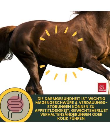 Gastrointestinal Paste Probiotics Brewer's Yeast Horse I Vitamin EI Yeast Culture Intestinal Flora Gastrointestinal - Vitamin I After Colic Skimmer Diarrhea Metabolism Horse 2 x 30 ml - Buy Online on GoSupps.com