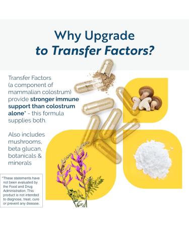 Transfer Factor Multi-Immune Support Supplement - Clinically Researched Immune Support Formula with Colostrum, Mushrooms, Green Tea, and IP-6 - Promotes Healthy NK Cell & T-Cell Function, 90 Capsules 90 Count (Pack of 1) Tr  - Buy Online on GoSupps.com