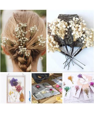 50Pcs Mini Dried Baby's Breath Flowers - Ivory White Bulk Gypsophila Bouquet for Resin Art & DIY Crafts | Perfect Mother's Day Gift, Wedding Decor, Card Making, Home Decor - Buy Online on GoSupps.com
