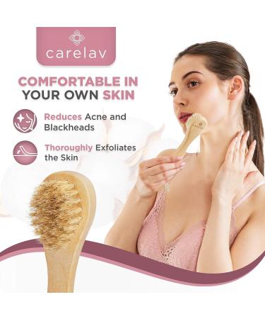 Premium Dry Brushing Body Brush Set | Medium Boar Bristles for Exfoliating & Cleansing | Lymphatic Drainage | Skin Beauty Brush with Handle, Face Brush & Shower Gloves - Buy Online on GoSupps.com