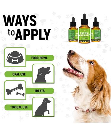 GoldenPaw Herbal Pet Supplement for Cats - Natural Support for Feline Health - Buy Online on GoSupps.com