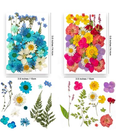 141PCS Real Nature Dried Pressed Flowers for Resin Mold - DIY Jewelry, Nail Art & Scrapbook Decor - Buy Online on GoSupps.com
