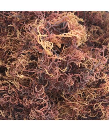 RastaMan Stew Organic Sea Moss Powder 8 oz / 227grm - 100% Authentic Wildcrafted Sea Moss Powder |Irish SeaMoss | Healthy Skin Keto Detox | Rich in Minerals & Vitamin - Buy Online on GoSupps.com