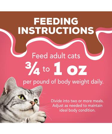Purina Friskies Extra Gravy Salmon Pate Wet Cat Food 5.5 oz. Cans (Pack of 24) - Buy Online on GoSupps.com