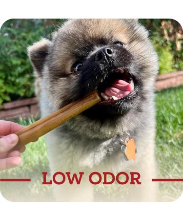 Redbarn Collagen Sticks X-Large Count of 25 Beef 4.2 Ounce (Pack of 25) - Buy Online on GoSupps.com