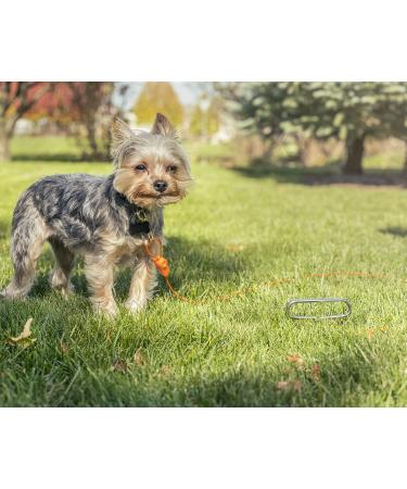 IntelliLeash Dog Lead - 30m Length Supports Dogs Up to 113kg (40ft) - Durable Adjustable Leash for Large Breeds - International Shipping Available - Buy Online on GoSupps.com