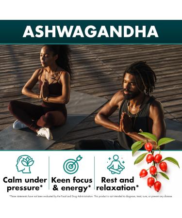 Sea Moss Bundle Wildcrafted Irish Sea Moss Capsules with Burdock Root Bladderwrack Muira Puama + Seamoss Black Seed Oil Ashwagandha & Ginger 480 Vegan Capsules - Buy Online on GoSupps.com