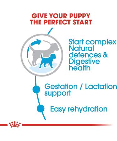 Royal Canin Mini Starter Mother and Babydog 8.5 kg - Buy Online on GoSupps.com
