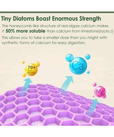 LILICARE Plant Based Calcium Supplement Vegan Omega3 Gummies 1280mg- from Marine Algae Oil - Buy Online on GoSupps.com