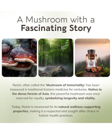 Organic Reishi Mushroom Capsules Supplement (120) | Pure Fruiting Body 10:1 High Strength Extract | 30% Beta-D Glucans | 9 000mg Raw Equivalent Per Serving | Calm Sleep & Stress Support - Buy Online on GoSupps.com