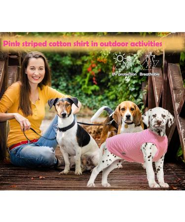 Sychien Pink Rose Striped Dog Shirt | Combed Cotton T-Shirt for XL & XXXL Dogs | Soft & Cool for Labradors - Buy Online on GoSupps.com