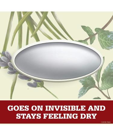 Old Spice Deodorant for Men Wilderness With Lavender Inspired By Nature 3 Ounce (Pack of 12) Package may Vary Lavender 3 Ounce (Pack of 12) - Buy Online on GoSupps.com