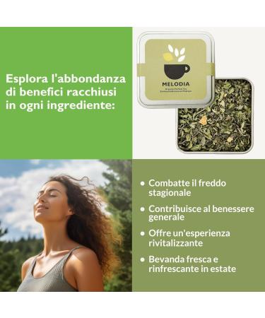 Organic Islands Feuilles de Tisane Melodia 30g Th Gourmand Sans Sucre M lange de Verveine Citronn e M lisse & corces de Citron de Naxos - Buy Online on GoSupps.com