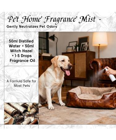 HIQILI 100ML Lemongrass Essential Oil & 150ML Leather Fragrance Oil for DIY Diffuser - Buy Online on GoSupps.com