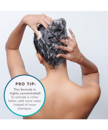 Moroccanoil Moisturising Conditioner & Shampoo Bundle 250ml - Nourishing Hair Care | International Shipping Available - Buy Online on GoSupps.com