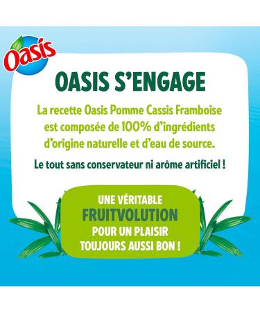 Oasis Apple Blackcurrant Raspberry Fruit Juice 1L - Buy Online on GoSupps.com