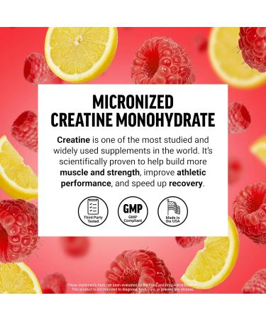 Force Factor Creatine Monohydrate Powder 5g Micronized Dose to Support Muscle Growth Strength Recovery Cognitive Health & Working Memory Raspberry Lemonade 100 Servings - Buy Online on GoSupps.com