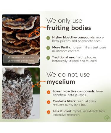 Organic Super Six Mushroom Blend Capsules Supplement (90) | Fruiting Body Extract Complex | Lions Mane Turkey Tail Cordyceps Reishi Chaga & Tremella | 35% Beta-D Glucans | Overall Wellness Support 6 Blend - Buy Online on GoSupps.com