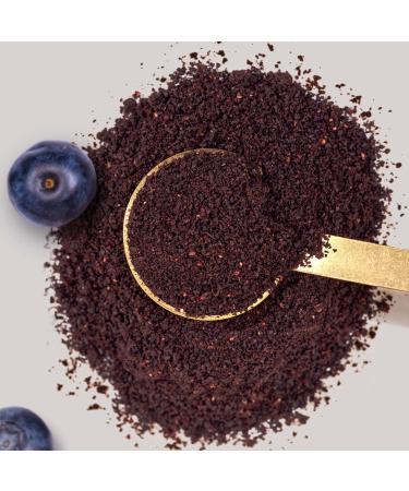 Organic Wild Blueberry Powder 200g - Raw Food Quality Antioxidant-Rich Fruit Powder (Vaccinium myrtillus) - International Shipping Available - Buy Online on GoSupps.com