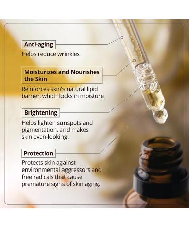 Avalon Organics Vitamin C Oil Anti-Aging Serum | Hydrating & Brightening Formula with Essential Fatty Acids & Vitamin E | Reduce Lines & Wrinkles | Antioxidant Serum - Buy Online on GoSupps.com
