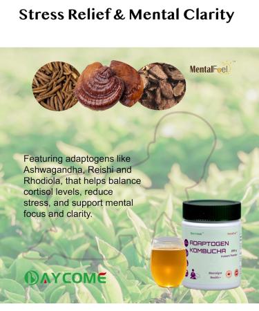 MentalFuel Adaptogen Kombucha Instant Powder - 40 Servings Sparkling Fermented Kombucha Drink with Adaptogen Blends Energy Focus Stress Relief Ashwagandha Rhodiola Reishi Ginseng and Maca Digestion & Immunity Gut-Brain Health Anti-oxidation Low Caffeine N - Buy Online on GoSupps.com
