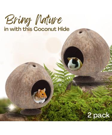 (2-Pack) Natural Coconut Hamster Cooling House - Durable Hideout for Small Pets - Buy Online on GoSupps.com