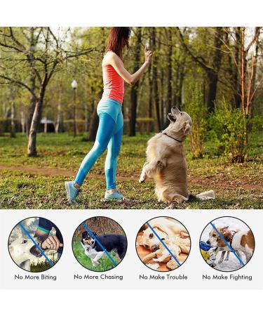 New Classic Nylon Dog Collars - Breathable Waterproof & Easy to Handle for All Sizes - Buy Online on GoSupps.com