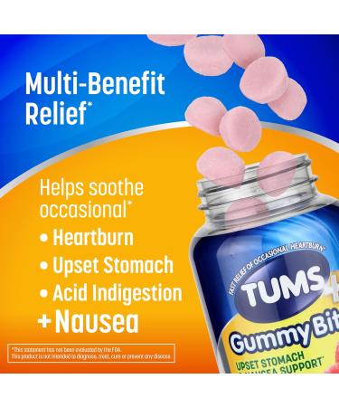 TUMS Plus Upset Stomach & Nausea Support Dietary Supplement Ginger Berry - 45 Count - Buy Online on GoSupps.com