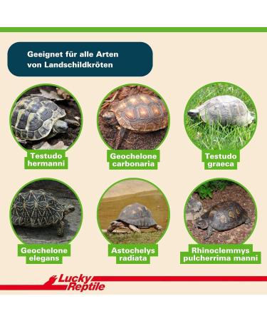 Buy Lucky Reptile Tortoise Bedding 50L - Premium Tortoise Soil for Healthy Habitat | International Shipping Available - Buy Online on GoSupps.com