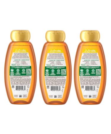 Garnier Whole Blends Moroccan Argan & Camellia Oils Shampoo 3-Pack - 12.5 Fl Oz, Silky Shine Formula - Buy Online on GoSupps.com