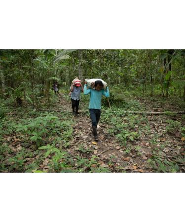 Aguaje Oil Buriti Fruit Oil - Premium Quality - 50mL Air-Free - Buy Online on GoSupps.com